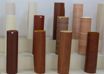 PP Films: The Future Trend of Sustainability and Decoration